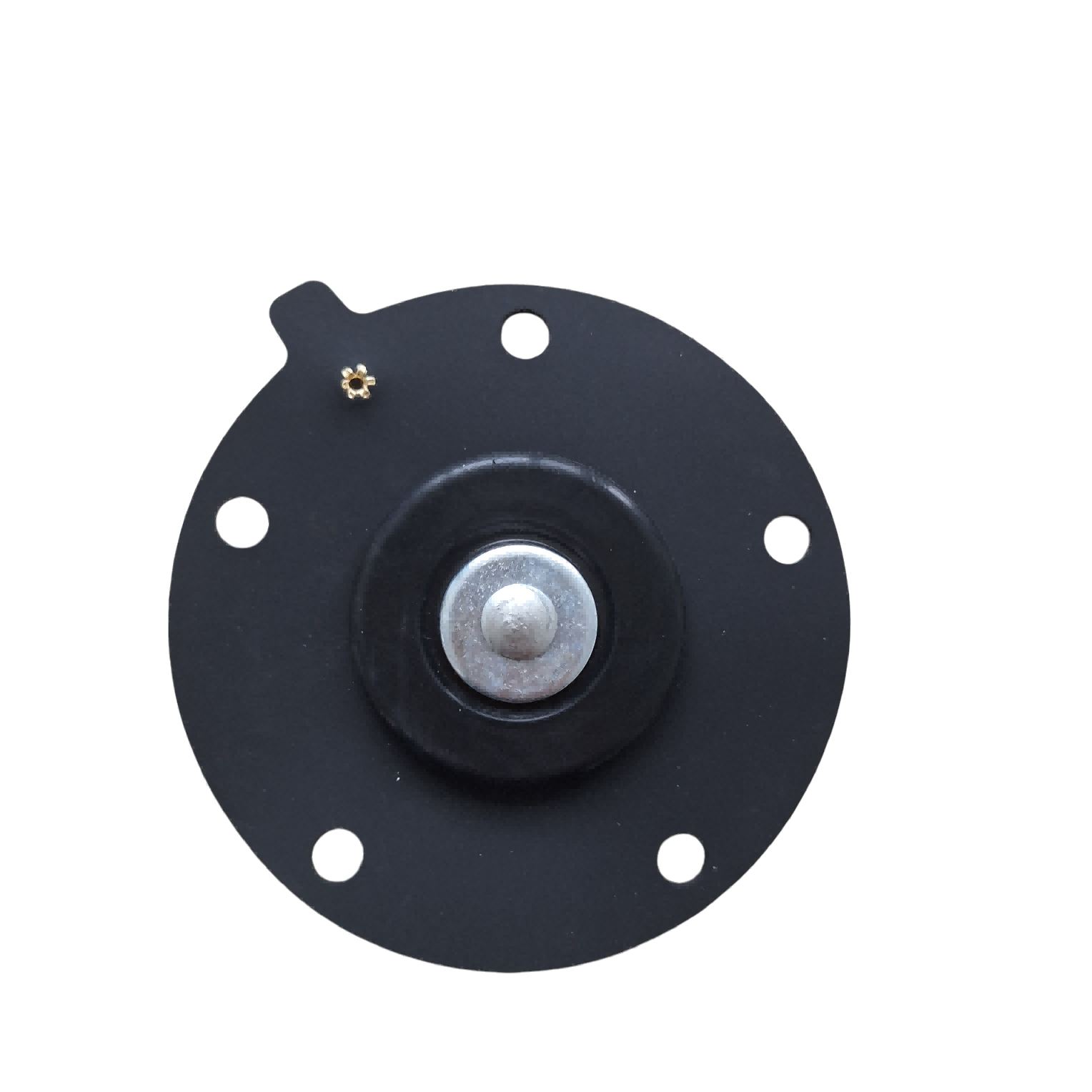 SBFEC 1'' Pulse Valve Membran Kit D25
